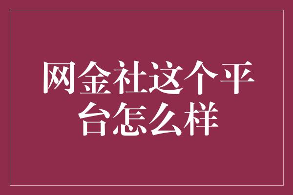 网金社这个平台怎么样