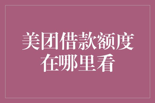 美团借款额度在哪里看