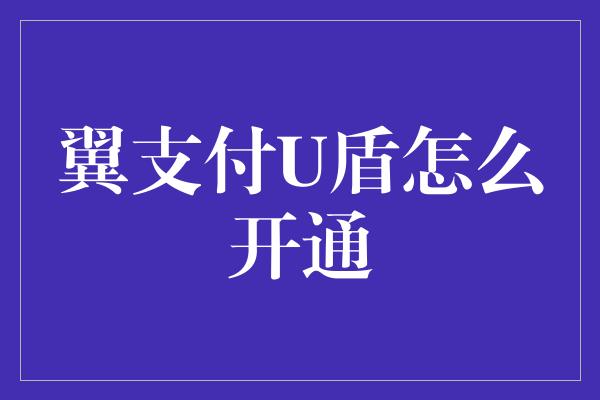 翼支付U盾怎么开通