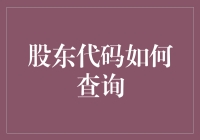 股东代码查询指南：如何在茫茫数据库中找到属于你的那一份