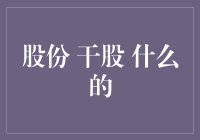 股份与干股：理解其内涵与外延，探寻价值与风险