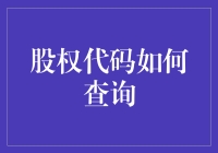 股权代码查询攻略：在数字海洋中寻宝