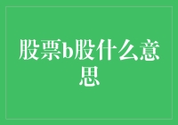 B股：市场中的异类——解构B股概念与角色