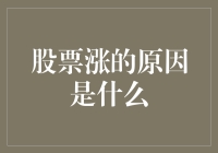 股市大涨？别傻了，那是啥原因能知道的！