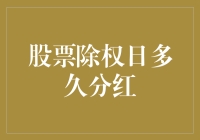 股票除权日：企业分红与股东权益保障