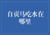 自贡马吃水的奇妙之旅：一场寻找马儿饮水地的荒诞冒险