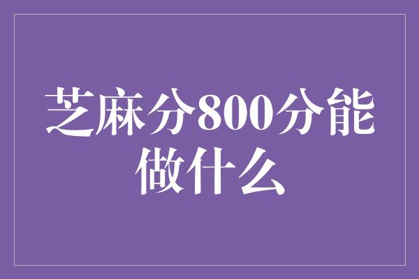 芝麻分800分能做什么