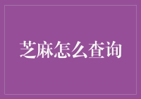 芝麻信用：探索在线信用查询的新纪元