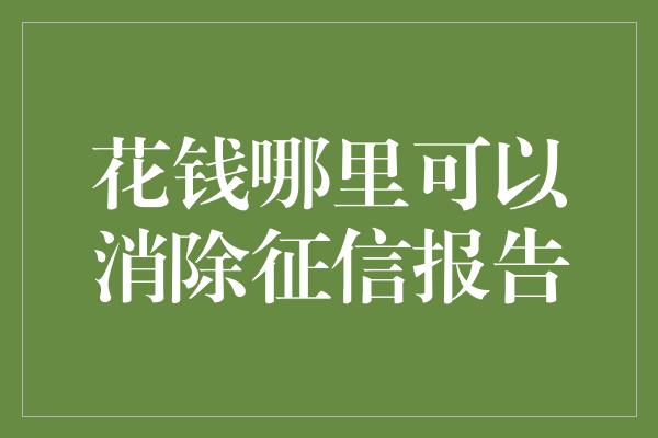 花钱哪里可以消除征信报告