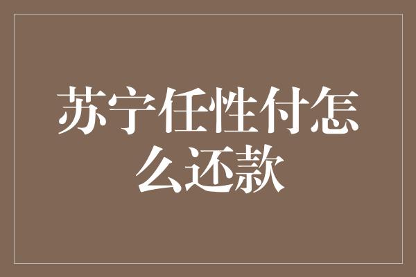 苏宁任性付怎么还款