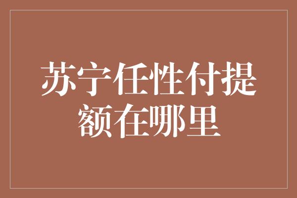 苏宁任性付提额在哪里