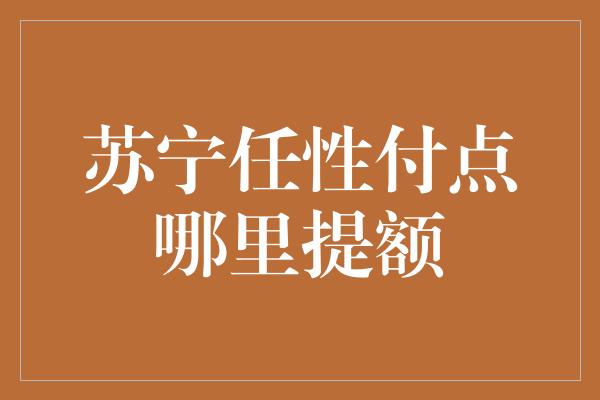 苏宁任性付点哪里提额