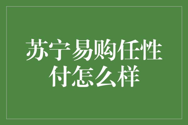 苏宁易购任性付怎么样