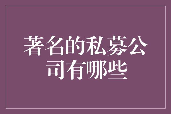 著名的私募公司有哪些