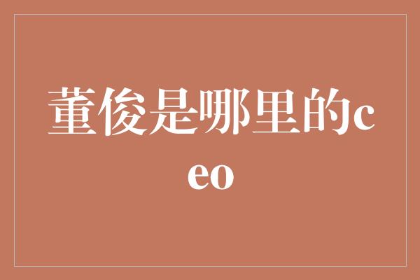 董俊是哪里的ceo