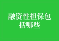 融资性担保的内涵与类型：揭开资本市场的金融保护伞