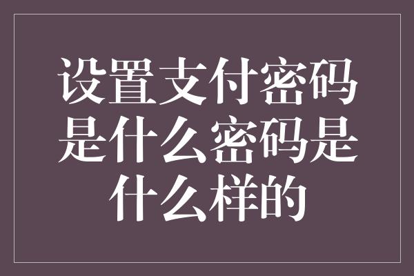 设置支付密码是什么密码是什么样的