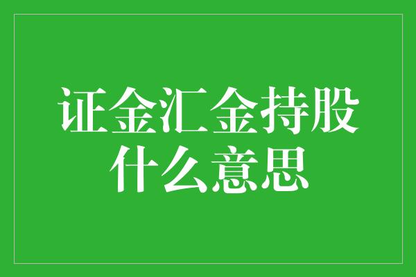 证金汇金持股什么意思