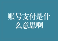 账号支付：数字时代的金融创新