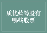 质优蓝筹股：你可能从未想到过的宝藏股票