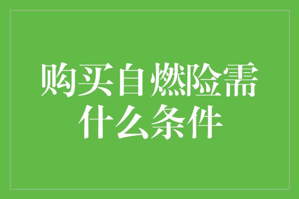 购买自燃险需什么条件