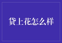 贷上花：深度解析借贷平台的合规性与便捷性