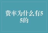 费率为什么有55的