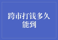 跨市打钱要等到花儿都谢了？