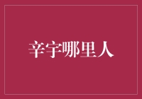 辛宇的人间烟火：他从何而来，又何以成为我们的邻居？