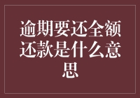 当逾期还款来电如约而至：您需要了解的全额还款政策