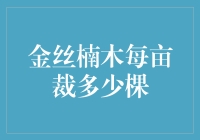 金丝楠木每亩栽种多少棵：深入了解栽种密度与经济效益