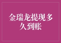 金瑞龙提现多久到账：揭秘背后的金融流程