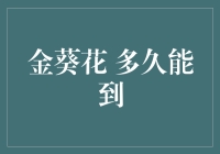 金葵花卡邮寄服务解析：从申请到送达的全过程详解