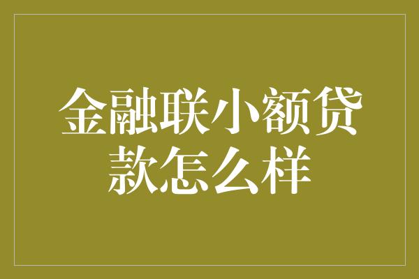 金融联小额贷款怎么样