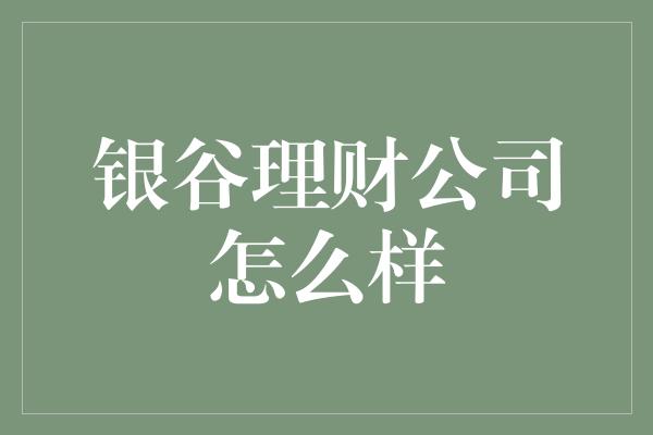 银谷理财公司怎么样