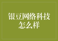 银豆网络科技：数字化转型中的科技先锋与创新者