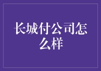 长城付公司，真的能撑起你的支付梦想吗？