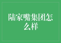 陆家嘴集团：浦东新区的现代城市开发先锋