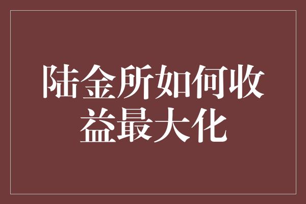 陆金所如何收益最大化