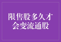 限售股：从禁飞区到自由商场的漫长旅程