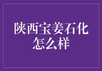 陕西宝姜石化：探索西北地区的能源新篇章