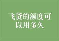 探讨飞贷额度的使用期限：如何最大化额度期限与价值