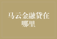 马云金融贷背后的创新与挑战：从阿里巴巴到数字经济的未来