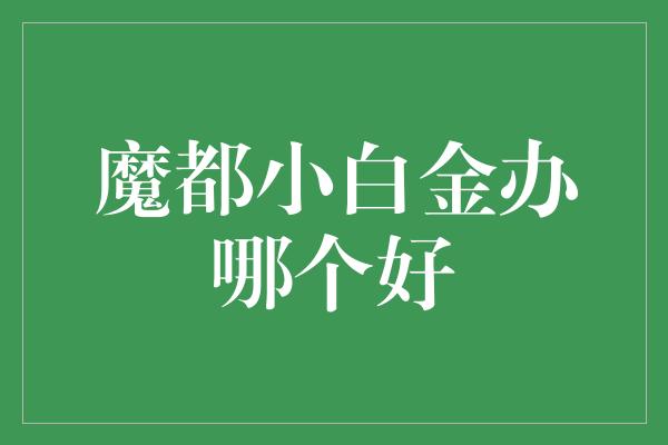 魔都小白金办哪个好