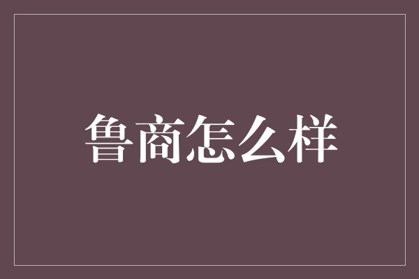 鲁商怎么样