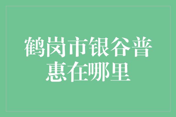 鹤岗市银谷普惠在哪里