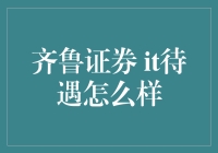 齐鲁证券IT待遇概览：专业人才的福利与挑战