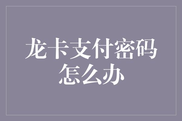 龙卡支付密码怎么办