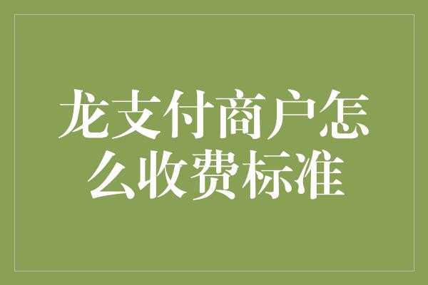 龙支付商户怎么收费标准