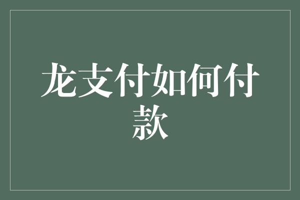 龙支付如何付款